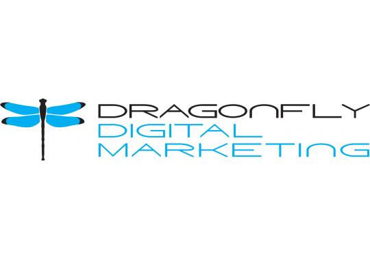 Top Baltimore SEO Company Logo: Dragonfly Digital Marketing