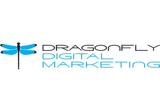 Best Baltimore SEO Business Logo: Dragonfly Digital Marketing