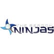 Best Baltimore Search Engine Optimization Business Logo: The Search Ninjas