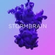 Best Corporate SEO Business Logo: Storm Brain