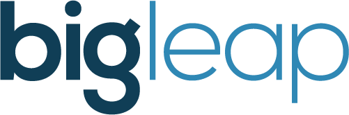 Best Search Engine Optimization Business Logo: Big Leap