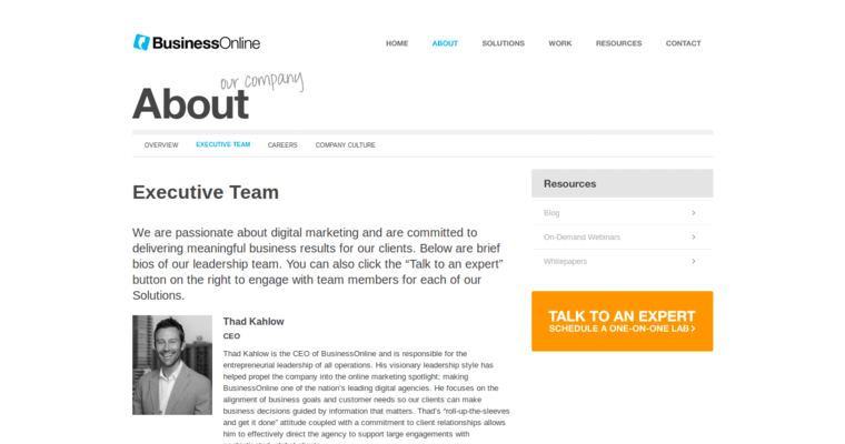 Team Page of Top Web Design Firms in California: Business Online