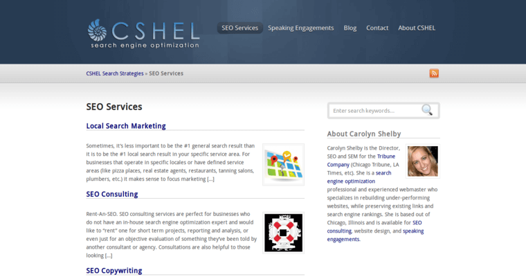 Service Page of Top Web Design Firms in Illinois: Cshel
