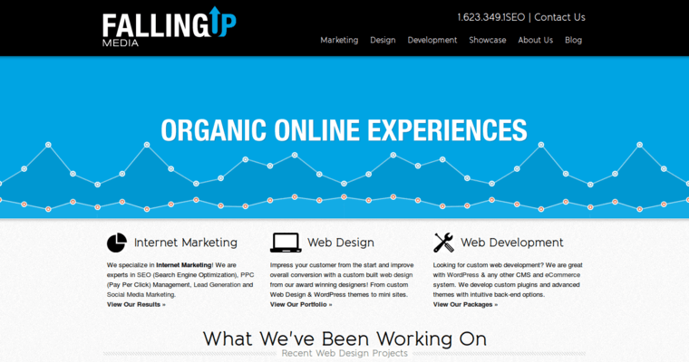 Home page of #5 Best Online Marketing Company: Falling Up Media