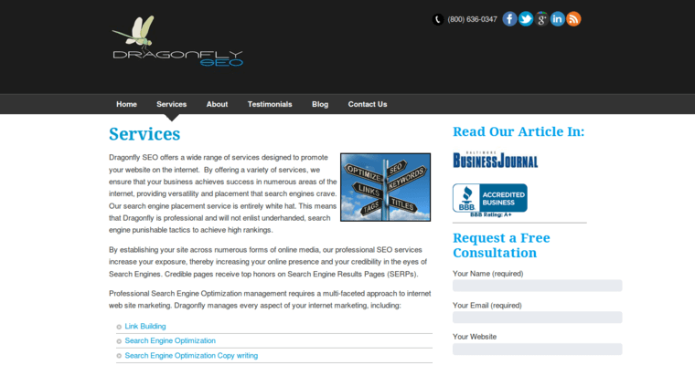Service page of #12 Best Search Engine Optimization Agency: Dragonfly SEO