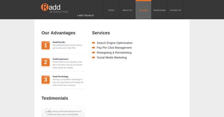 Service page of #20 Top Online Marketing Business: Radd Interactive