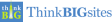  Leading Search Engine Optimization Company Logo: ThinkBIGsites.com