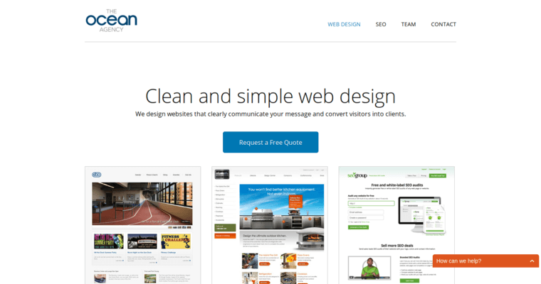 Home page of #21 Best SEO Firm: Ocean19