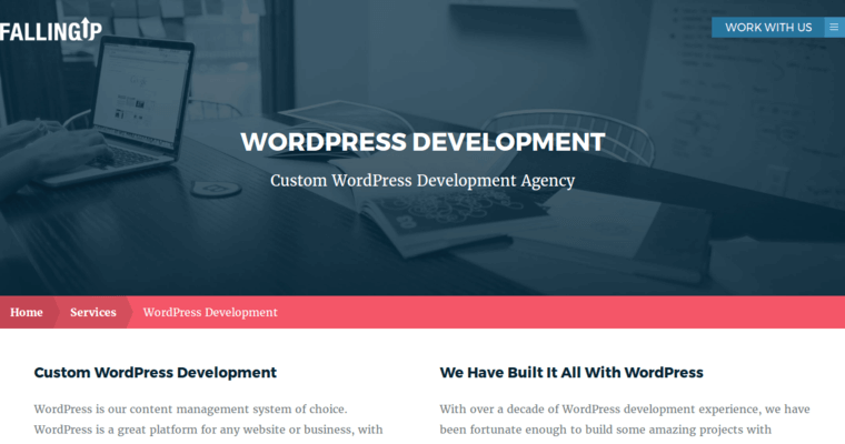 Development page of #21 Best SEO Agency: Falling Up Media