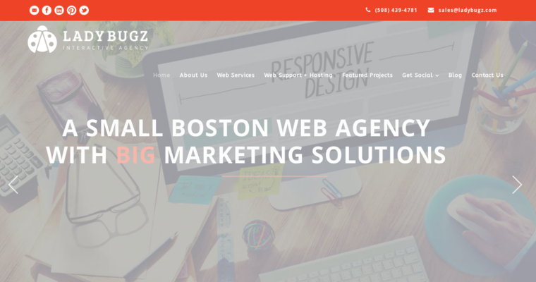 Home page of #6 Best Boston SEO Agency: Ladybugz Agency