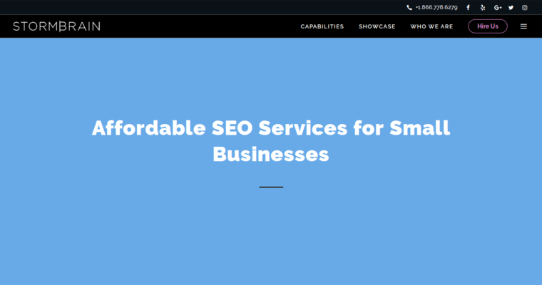 Service page of #4 Best Corporate SEO Business: Storm Brain