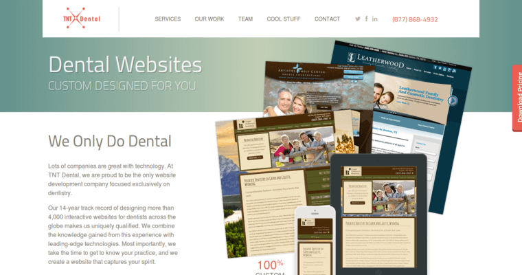 Websites page of #9 Best Dental SEO Business: TNT Dental