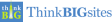  Leading Enterprise SEO Company Logo: ThinkBIGsites.com