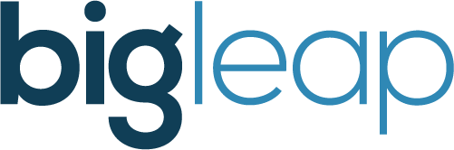 Best Global SEO Agency Logo: Big Leap