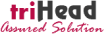 Houston Leading Houston SEO Firm Logo: triHead