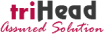 Houston Top Houston SEO Business Logo: triHead