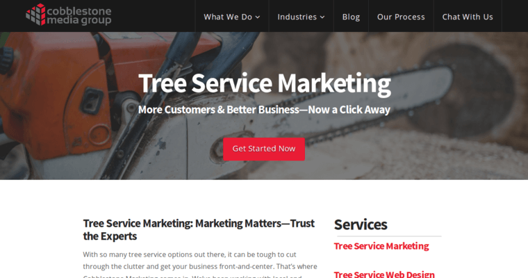 Service page of #8 Leading Business: Cobblestone Media Group