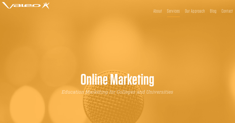 Online Marketing page of #4 Best Firm: Valeo Online Marketing
