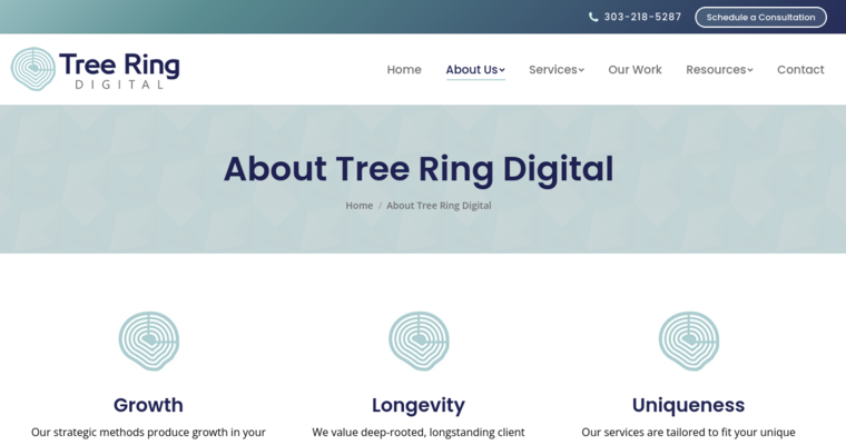 About page of #17 Top Online Marketing Company: Tree Ring Digital