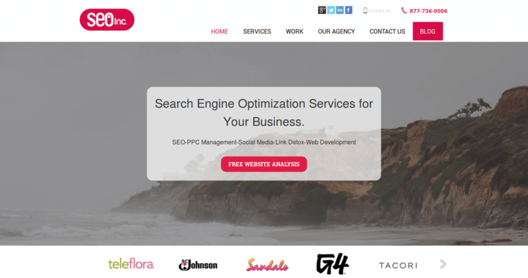 Home page of #6 Top ORM Company: SEO Inc