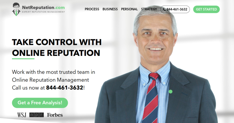 Home page of #10 Top Reputation Management Company: Net Reputation