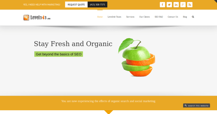 Home page of #7 Best SF SEO Firm: Level343