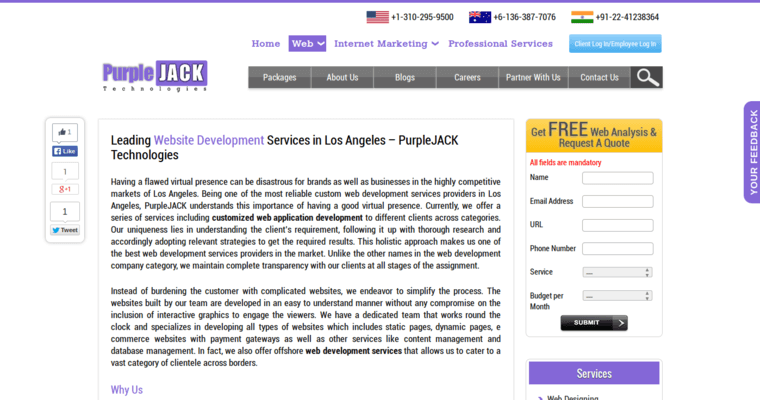Development Page of Top Web Design Firms in California: PurpleJack