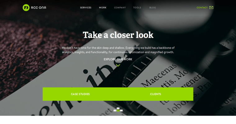 Work Page of Top Web Design Firms in California: ROI DNA