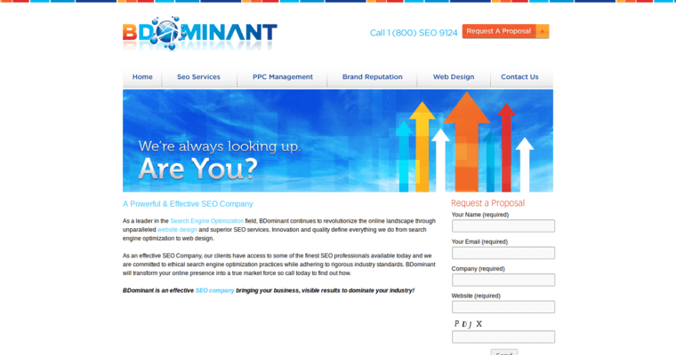 Home Page of Top Web Design Firms in New York: Bdominant