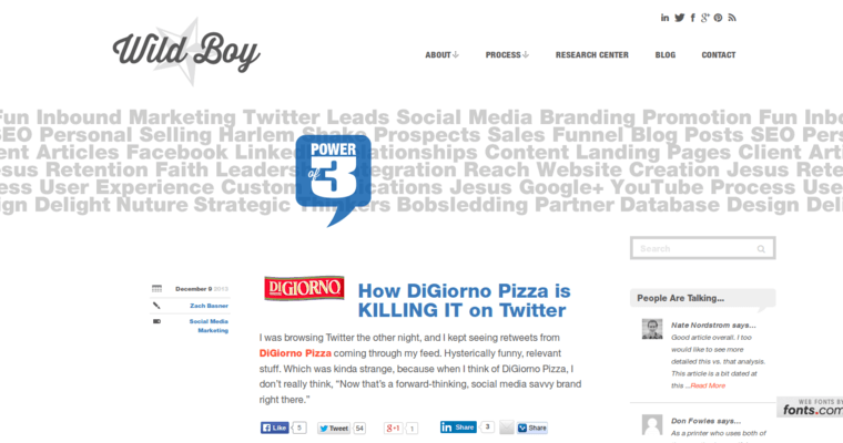 Blog Page of Top Web Design Firms in Ohio: Wild Boy
